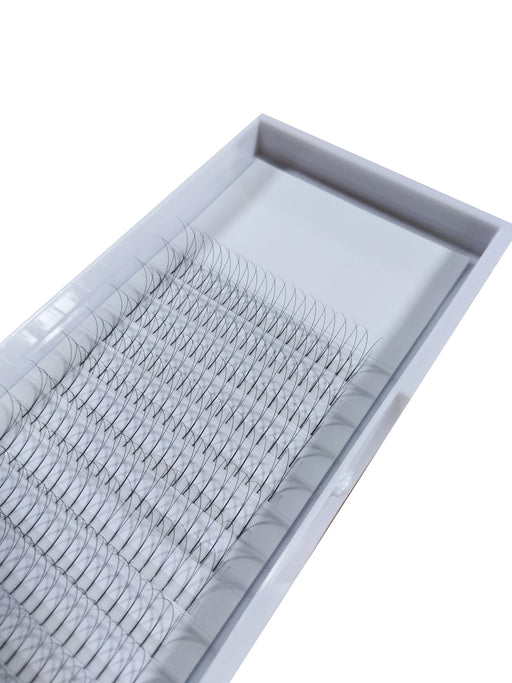 2D A Style Premium Fan Lash Tray